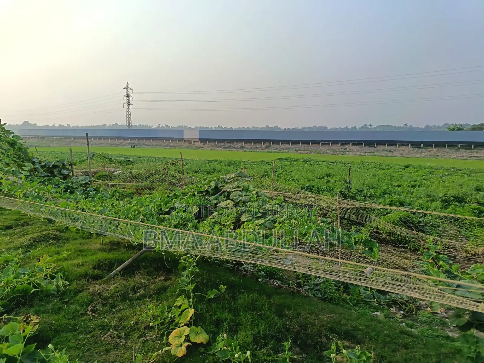 40 Bigha Land For Sale Prime Location Gazipur Sadar