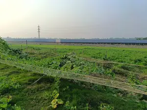40 Bigha Land For Sale Prime Location Gazipur Sadar