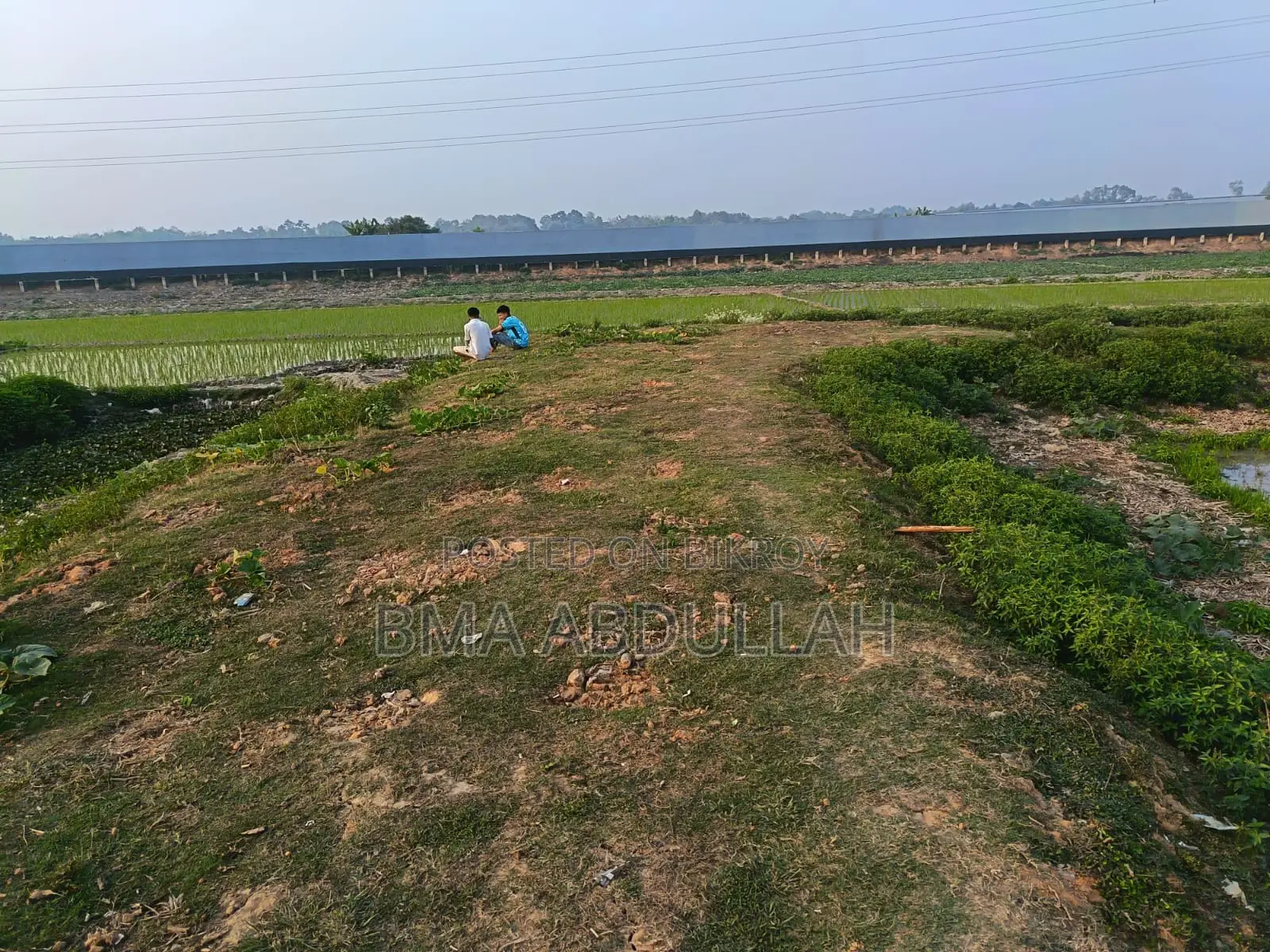 40 Bigha Land For Sale Prime Location Gazipur Sadar