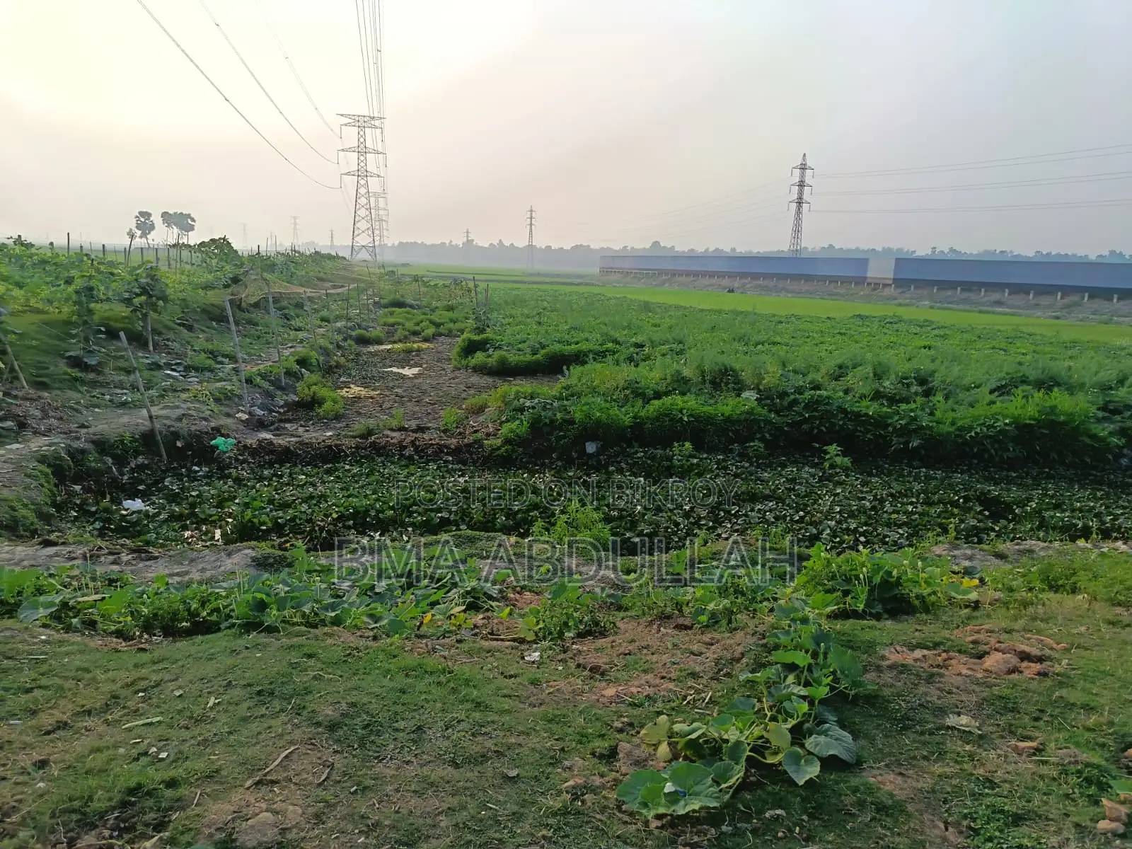 40 Bigha Land For Sale Prime Location Gazipur Sadar
