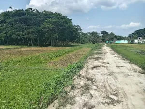 বরিশাল সিটির মধ্যে ৬ শতাংশ জমি বিক্রয় হবে