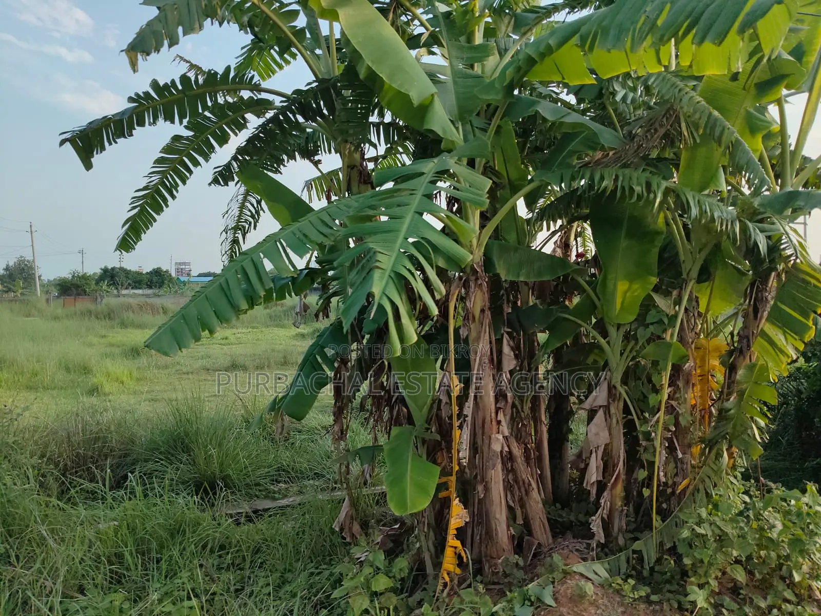 Exclusive 7.5 Katha North-East Corner Plot Close to 300ft – Sec#1