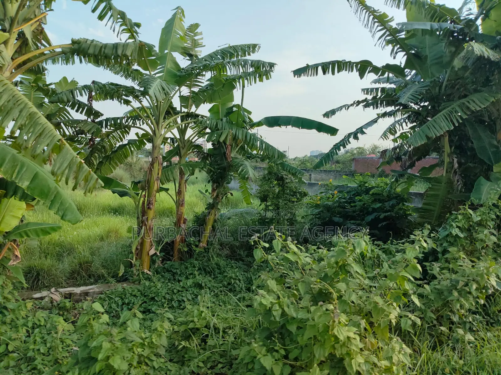 South Facing 5 Katha Plot Very Close to Lake – Sec#10