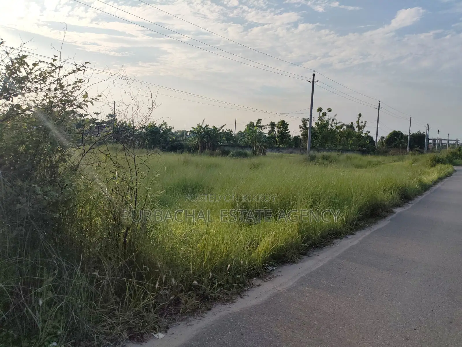 Exclusive 3 Katha South Facing Plot in Sec#28