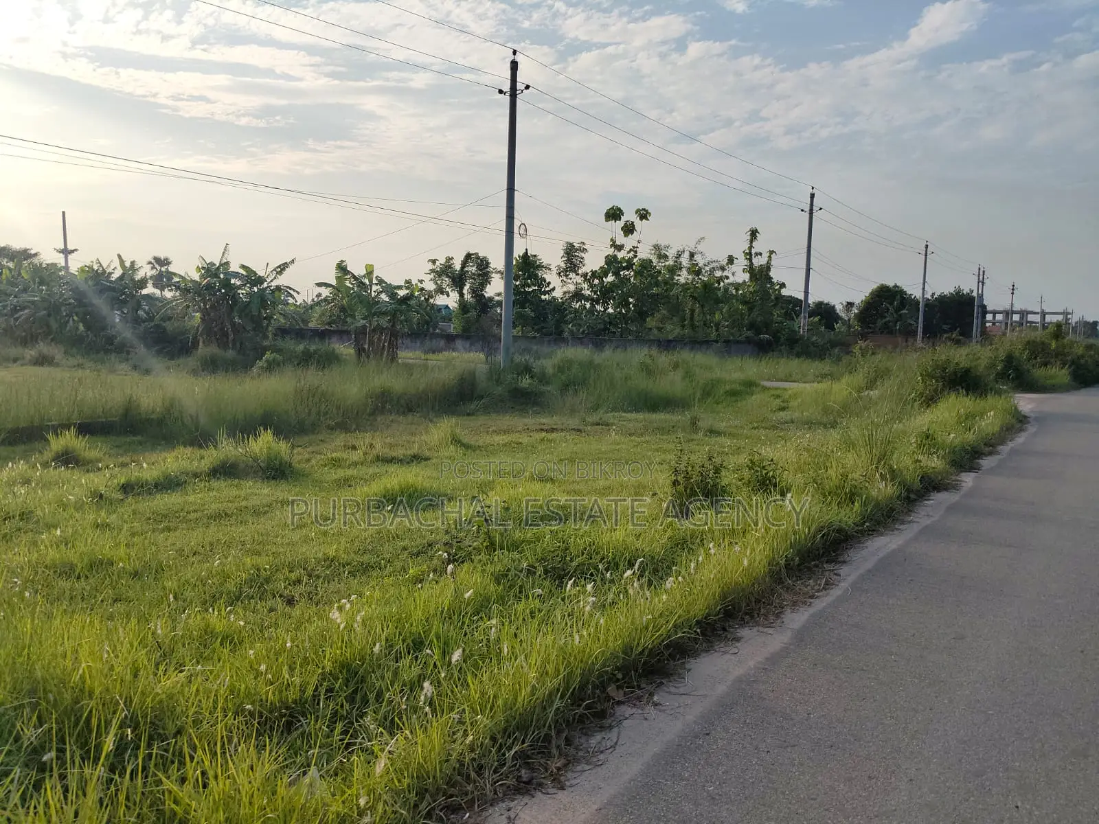 Exclusive 3 Katha South Facing Plot in Sec#28