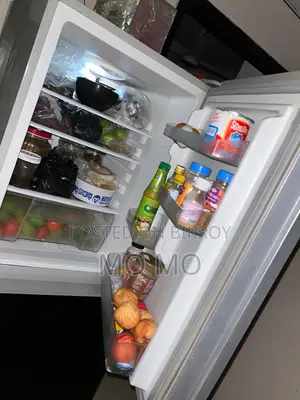 সিঙ্গার ব্র্যান্ডের ফ্রিজ
