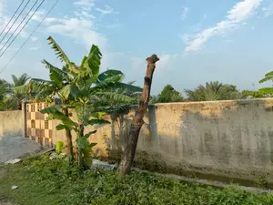 Premium East Facing 7.5 Katha Land Close to Lake, Sec#25