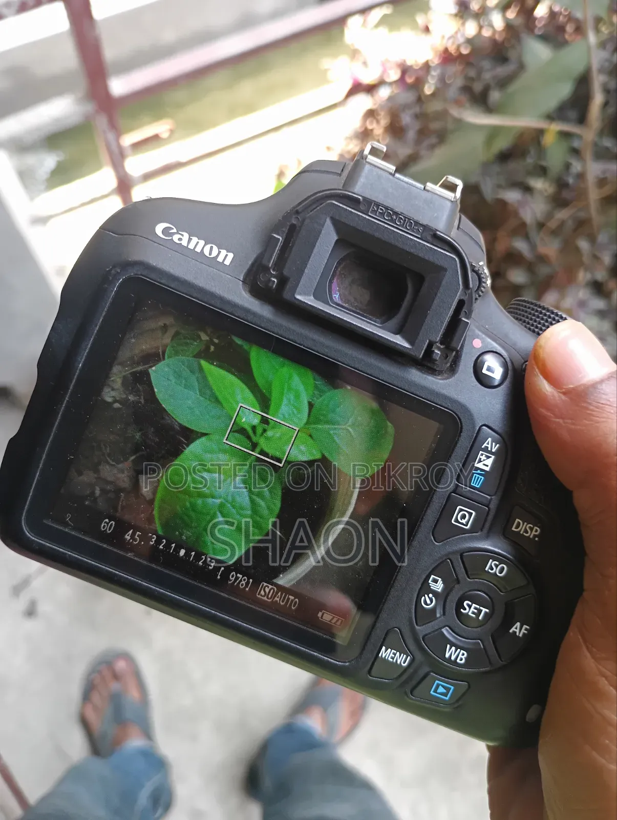 Canon 1200 D With Sigma 18-50 F 2.8 - 4.5 Zoom Lens