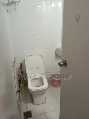 Furnished Studio Apartment in Belanil, Basundhara for Rent
