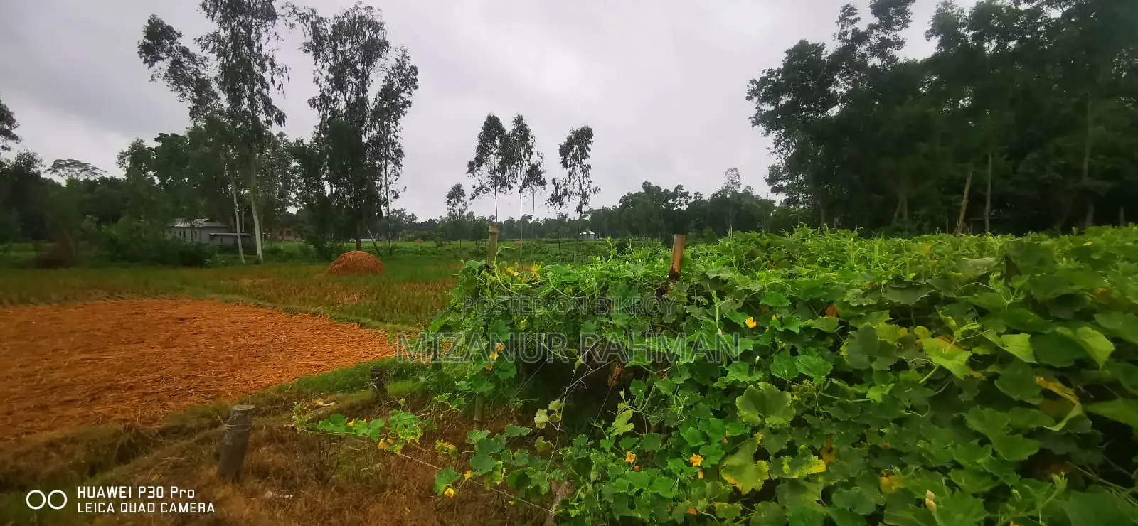 ২৮৪ শতাংশ জমি বিক্রয় হবে