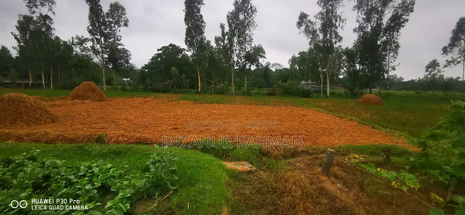 ২৮৪ শতাংশ জমি বিক্রয় হবে