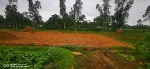 ২৮৪ শতাংশ জমি বিক্রয় হবে