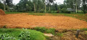 ২৮৪ শতাংশ জমি বিক্রয় হবে
