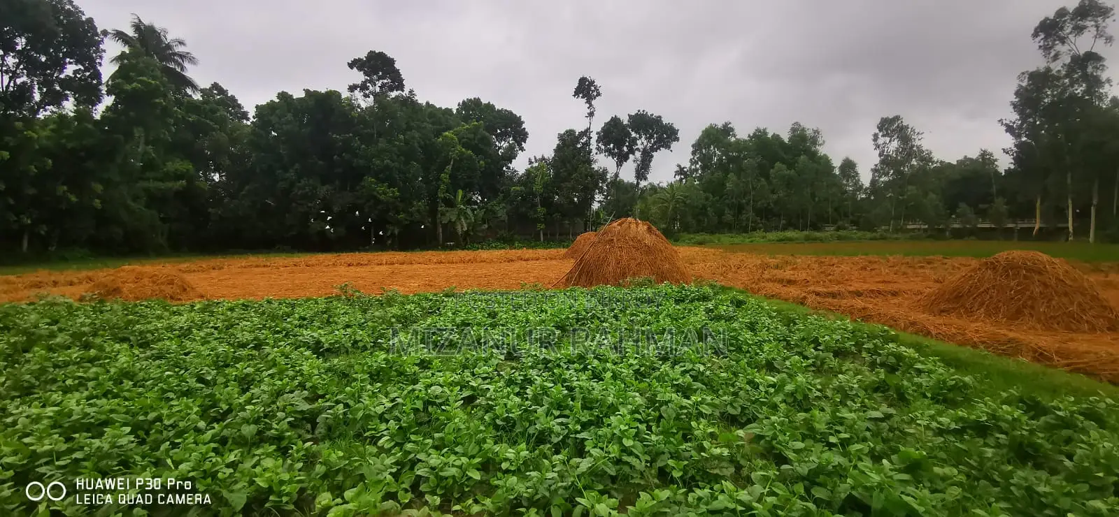 ২৮৪ শতাংশ জমি বিক্রয় হবে