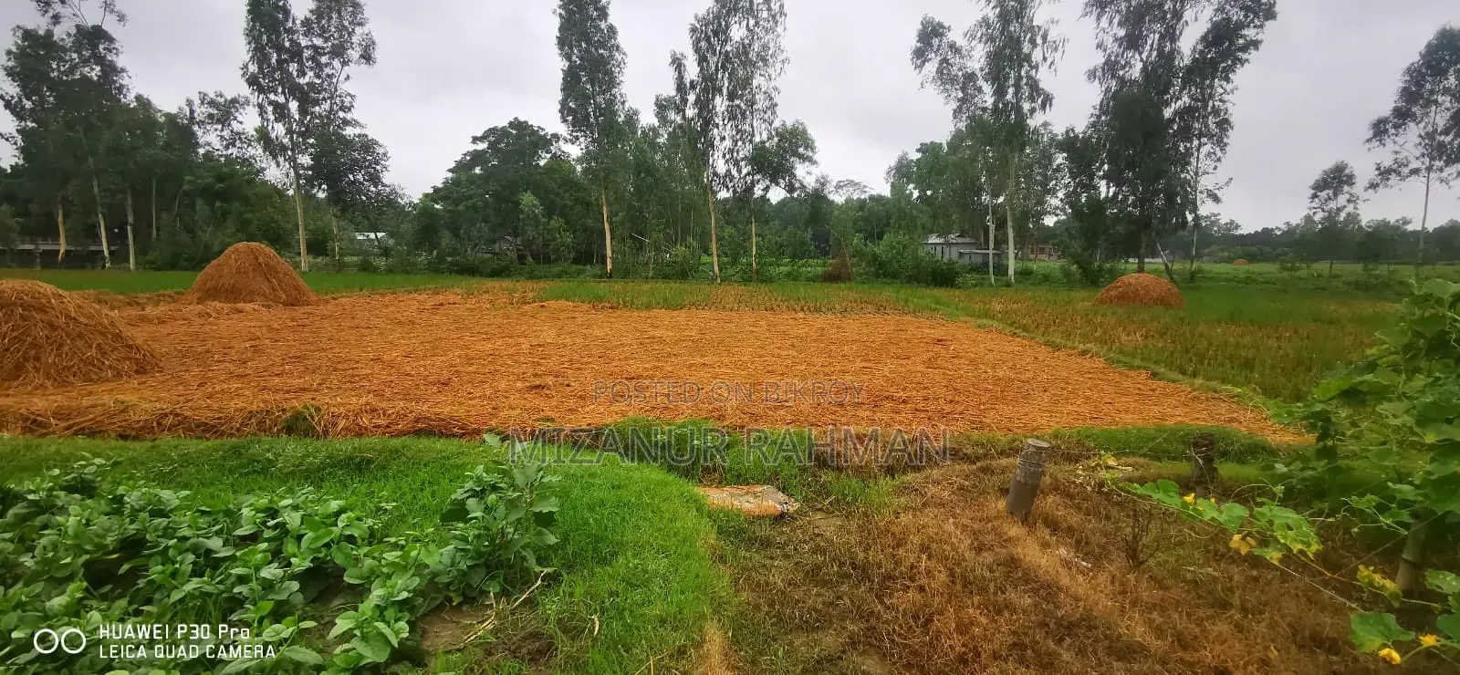 ২৮৪ শতাংশ জমি বিক্রয় হবে