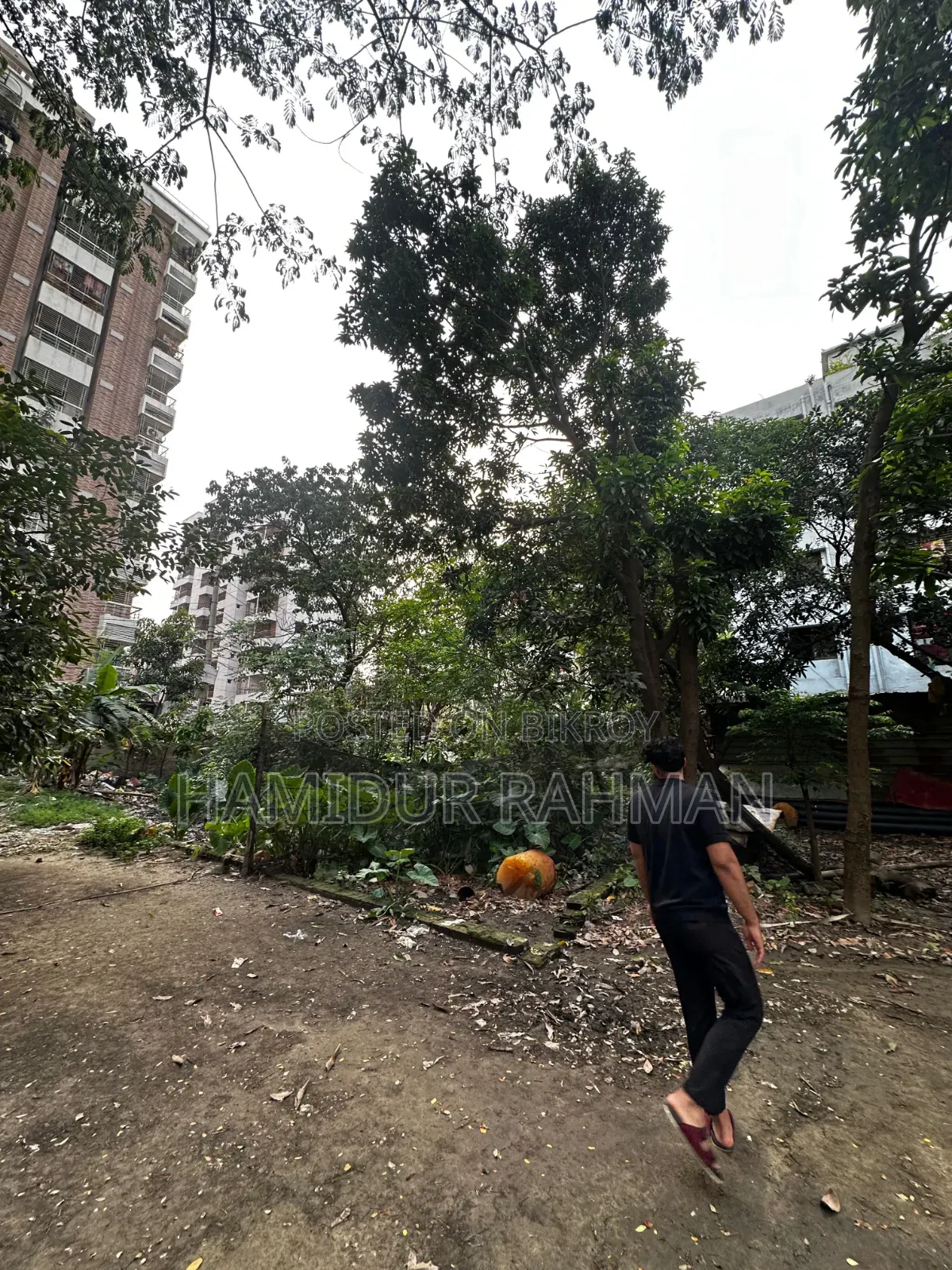 Prime Plot For Sale