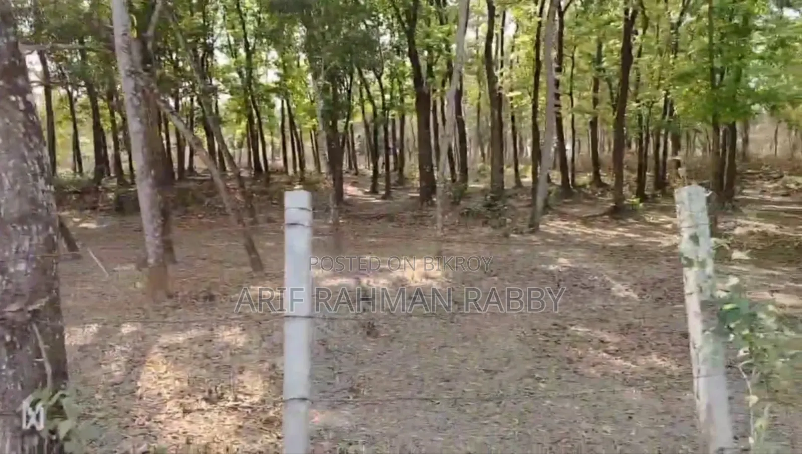 Urgent Sale: 350 Decimal Land Filled with Trees