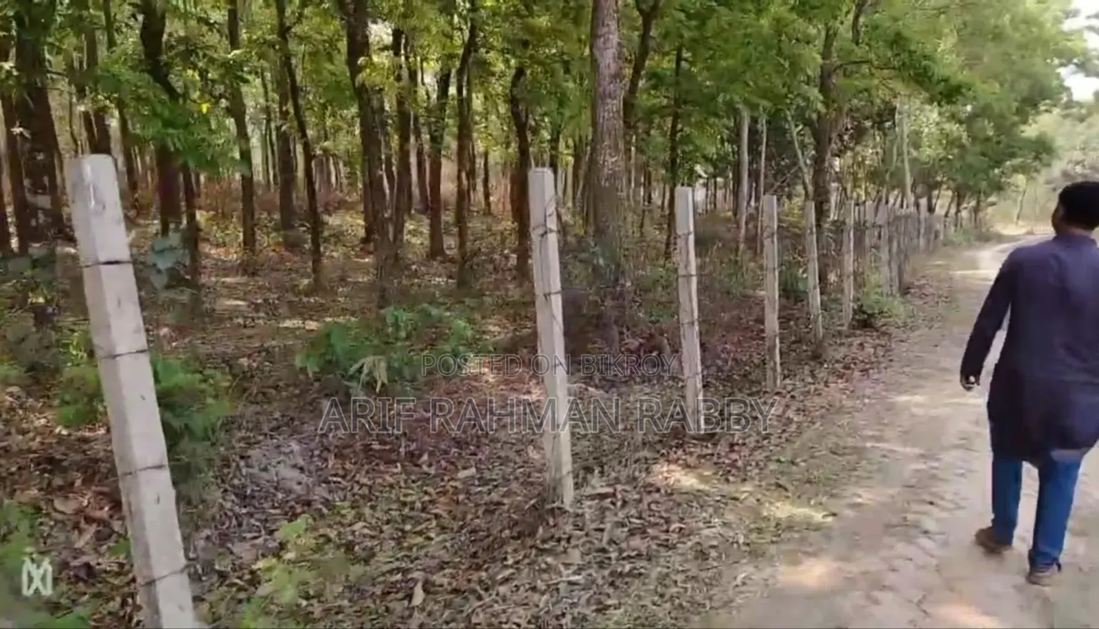 Urgent Sale: 350 Decimal Land Filled with Trees