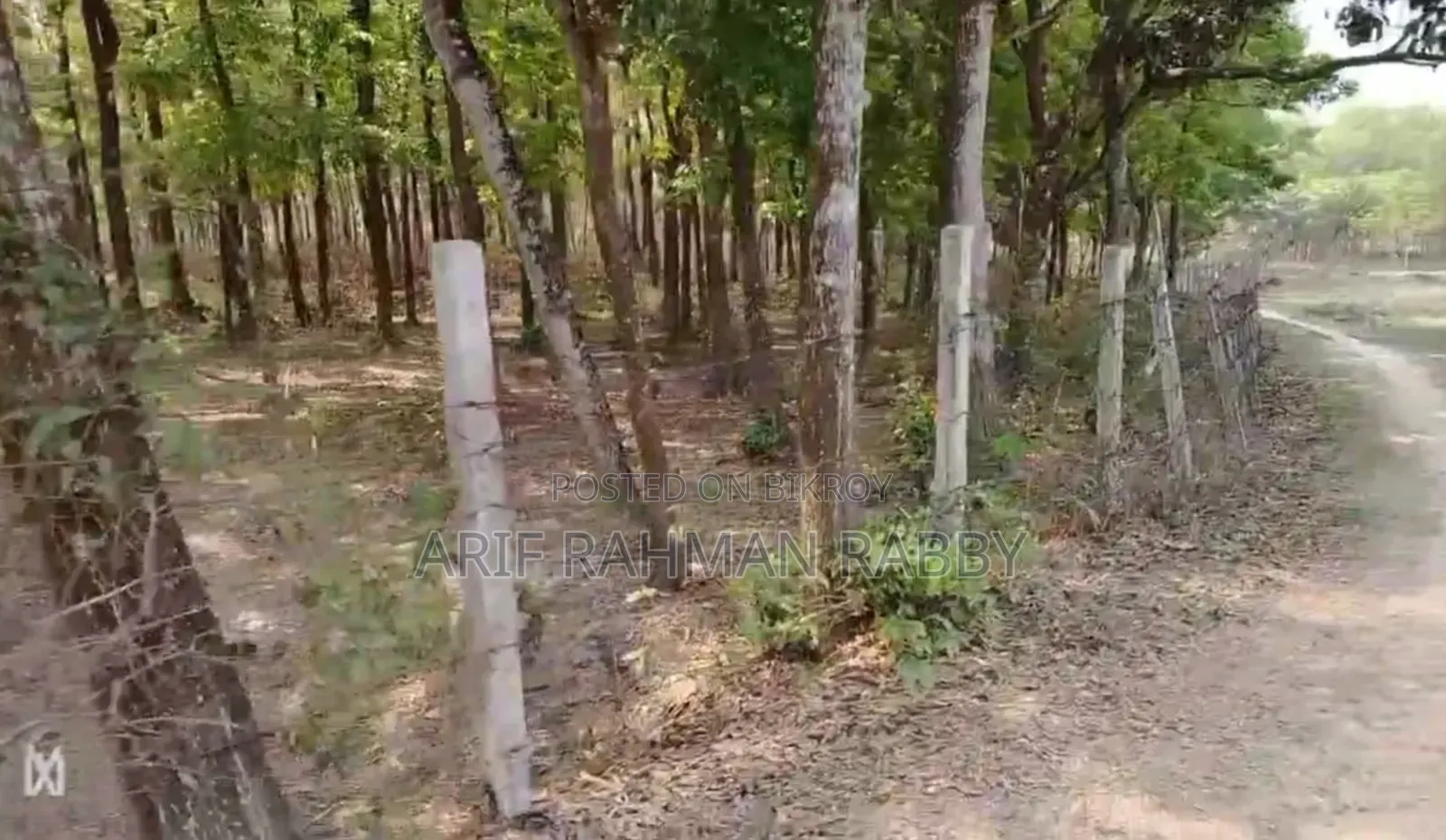 Urgent Sale: 350 Decimal Land Filled with Trees