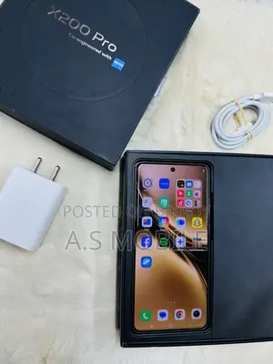 Vivo X200 Pro 512 GB Gray