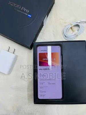 Vivo X200 Pro 512 GB Gray