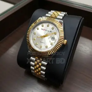 Snille Luxury Watch Water Resistant