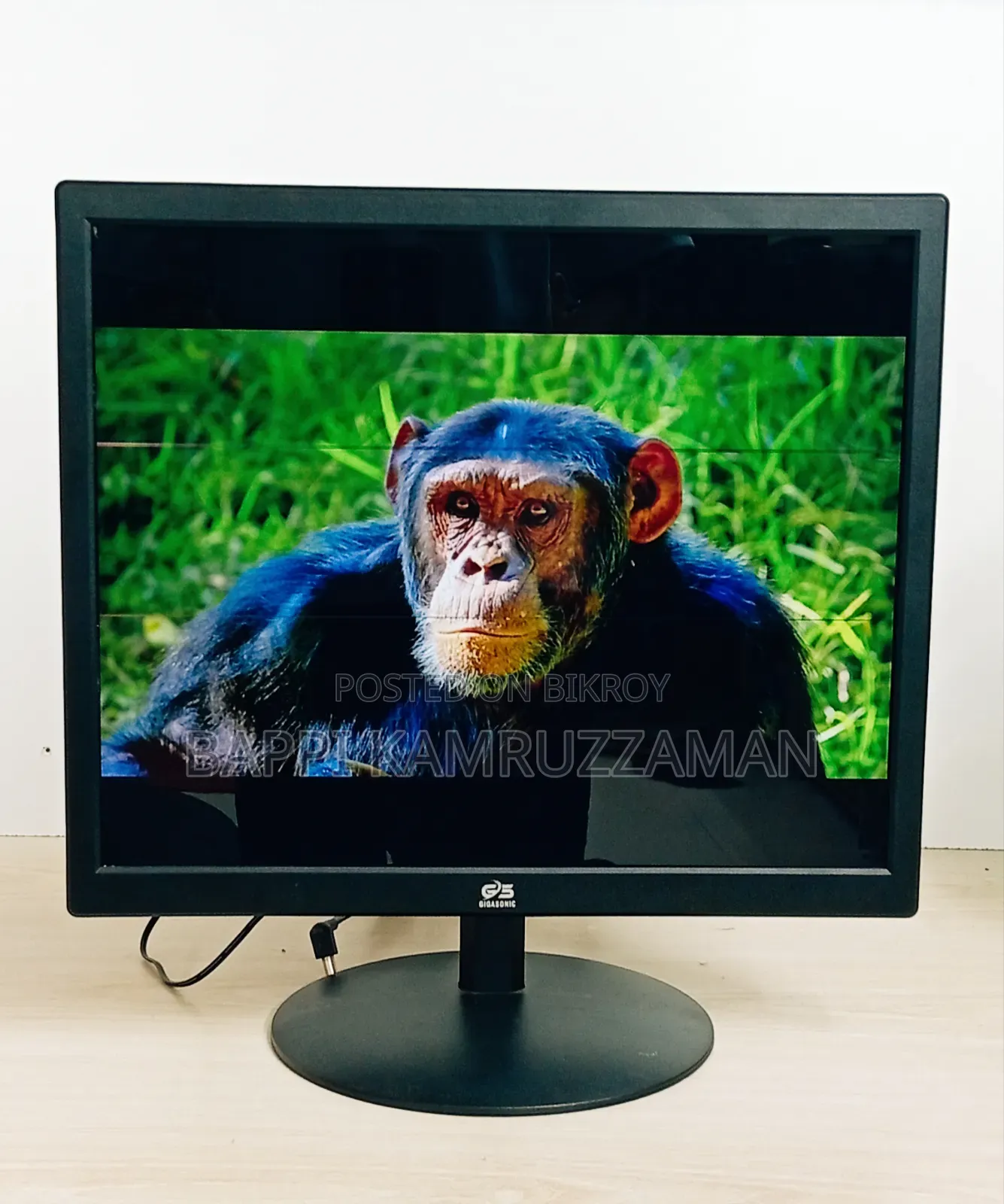Gigasonic 17" Monitor (HDMI) - Each monitor has a thin thread-like line.