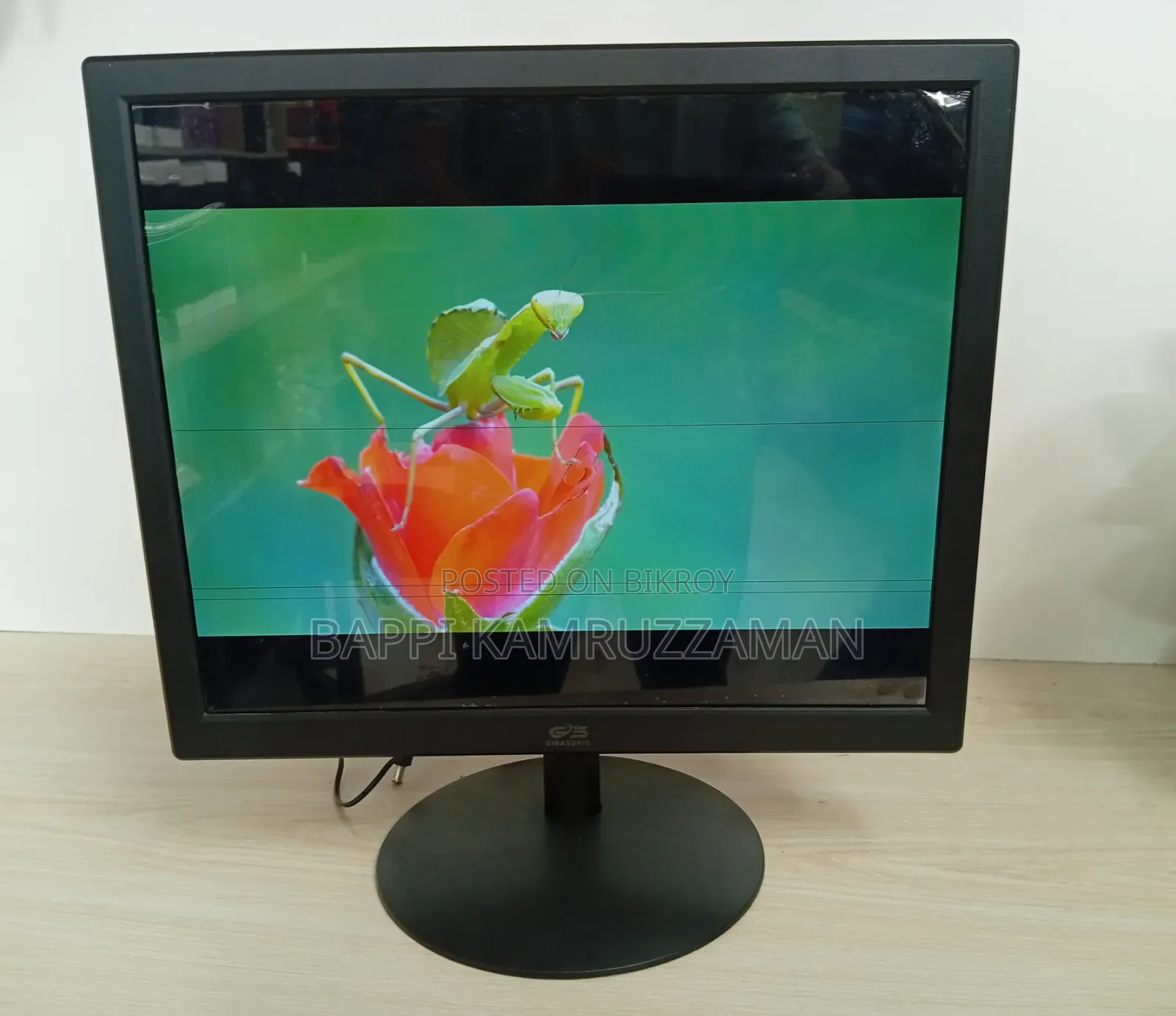 Gigasonic 17" Monitor (HDMI) - Each monitor has a thin thread-like line.