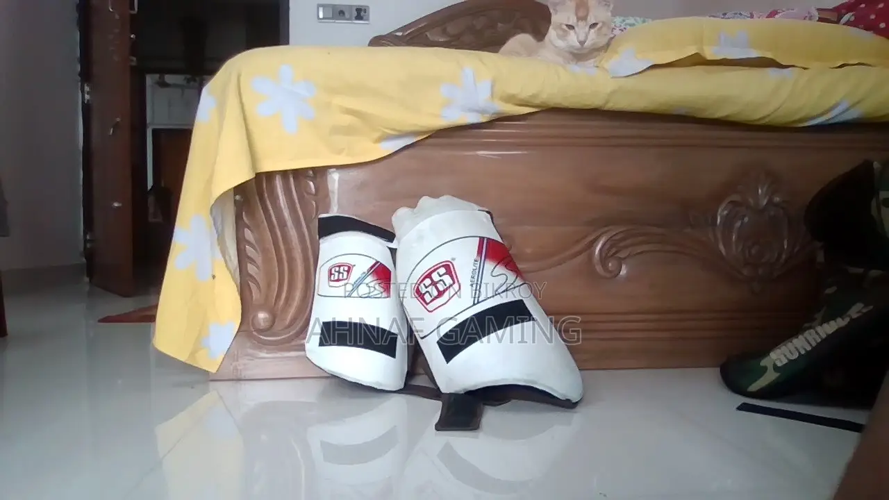 Cricket Equipments