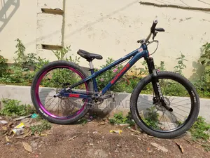 Borase San 6.1 Cycle