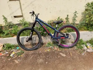 Borase San 6.1 Cycle