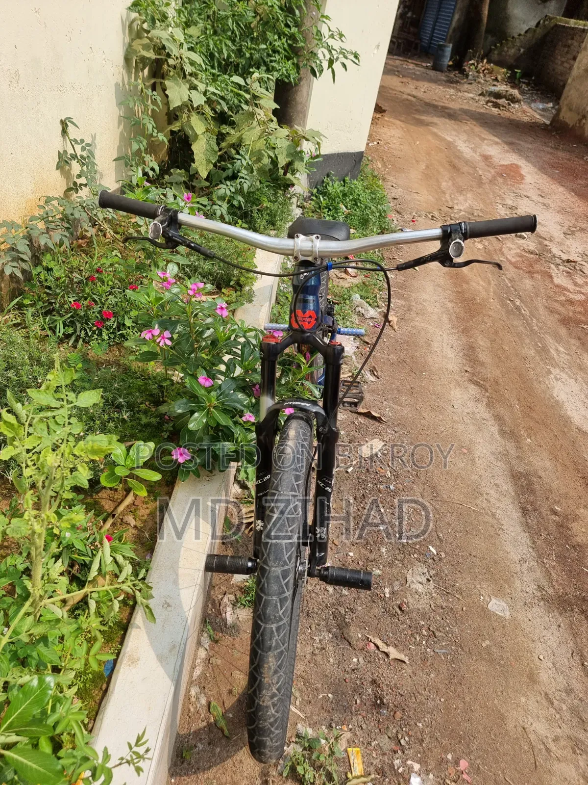 Borase San 6.1 Cycle