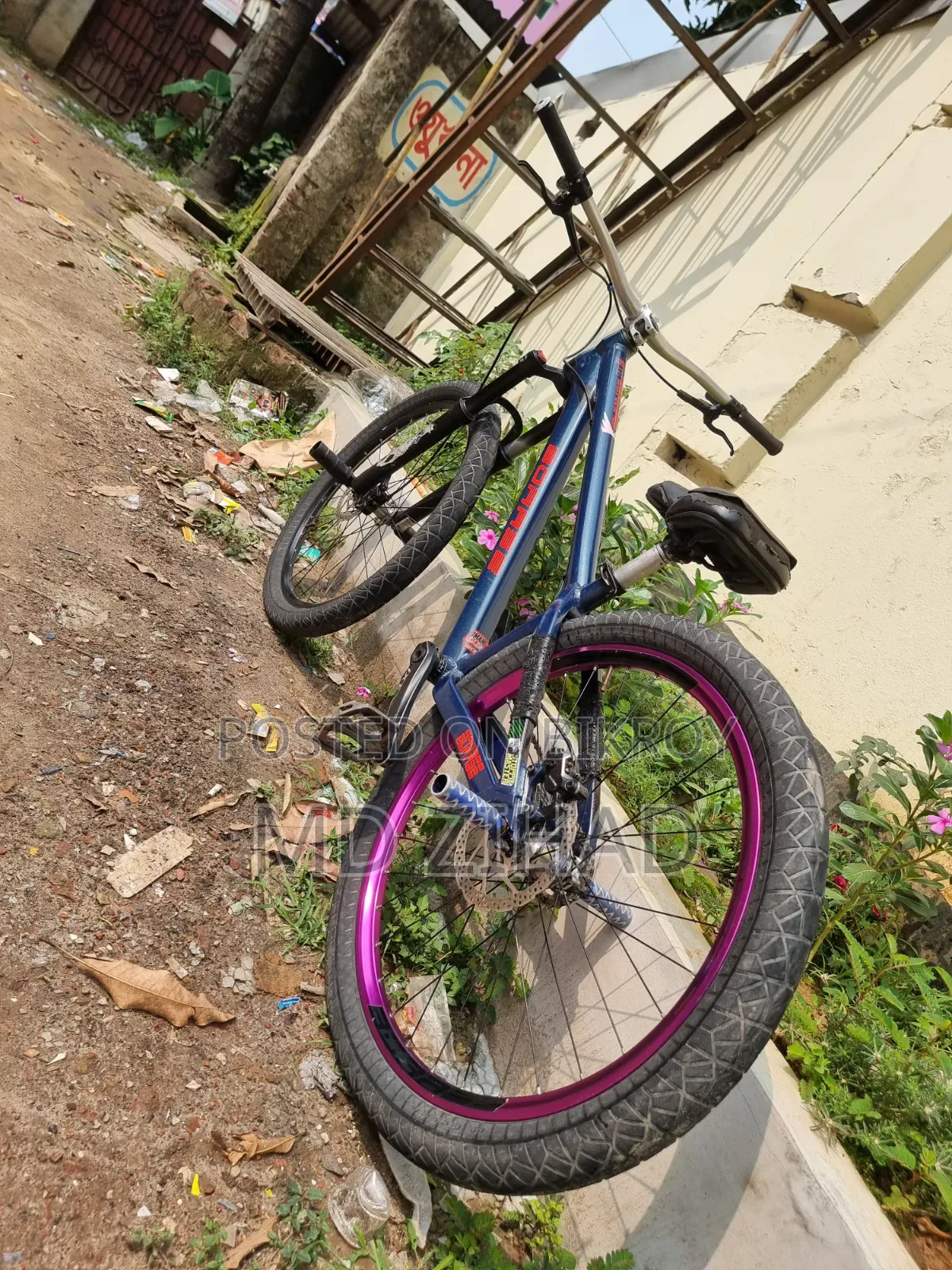 Borase San 6.1 Cycle