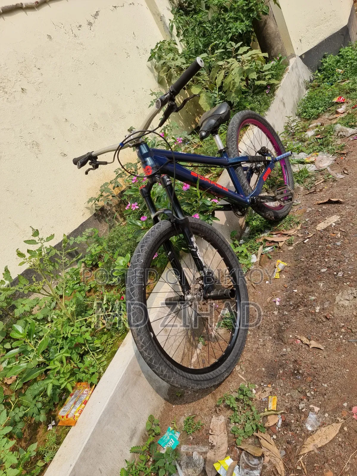 Borase San 6.1 Cycle