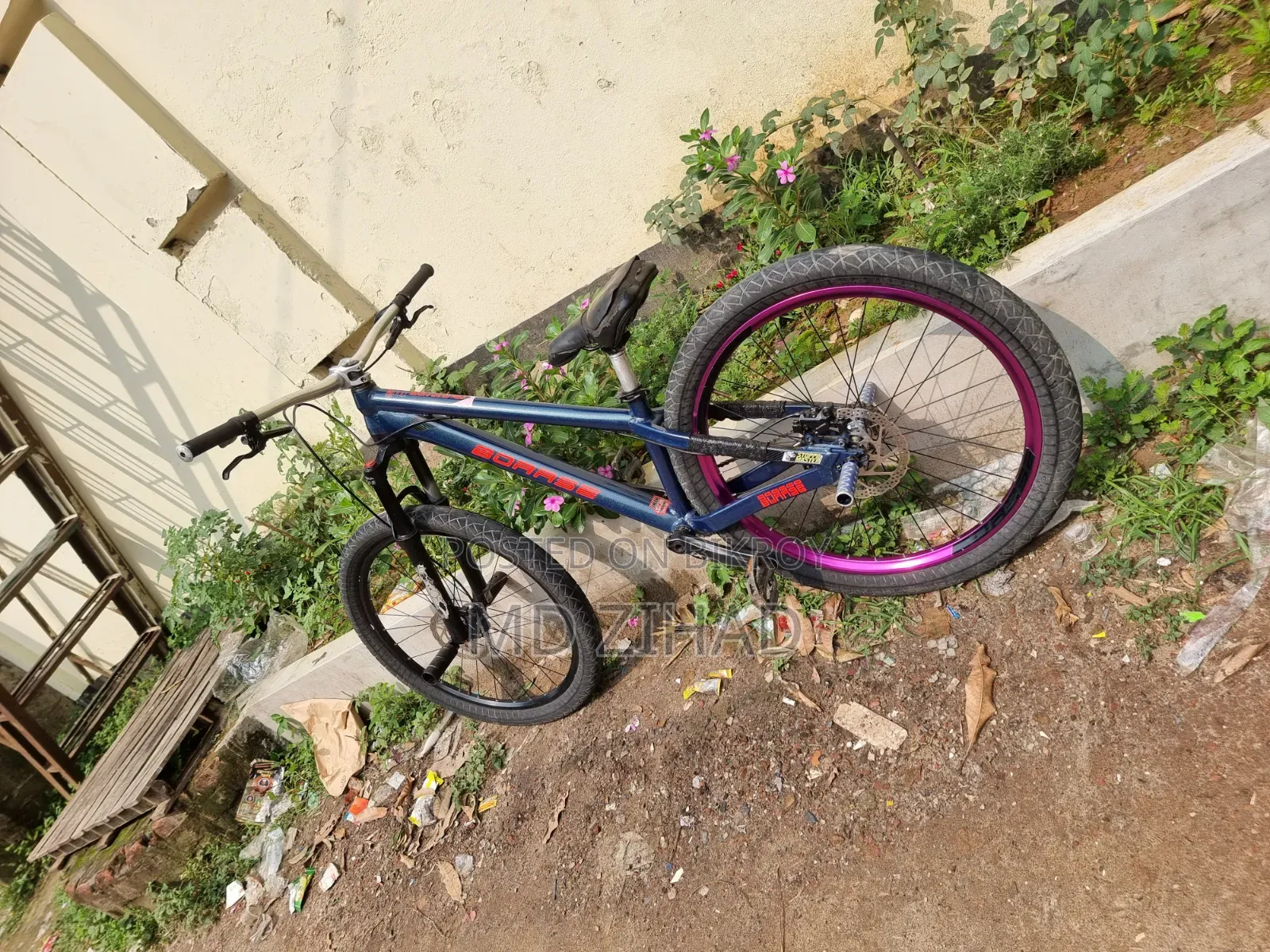 Borase San 6.1 Cycle