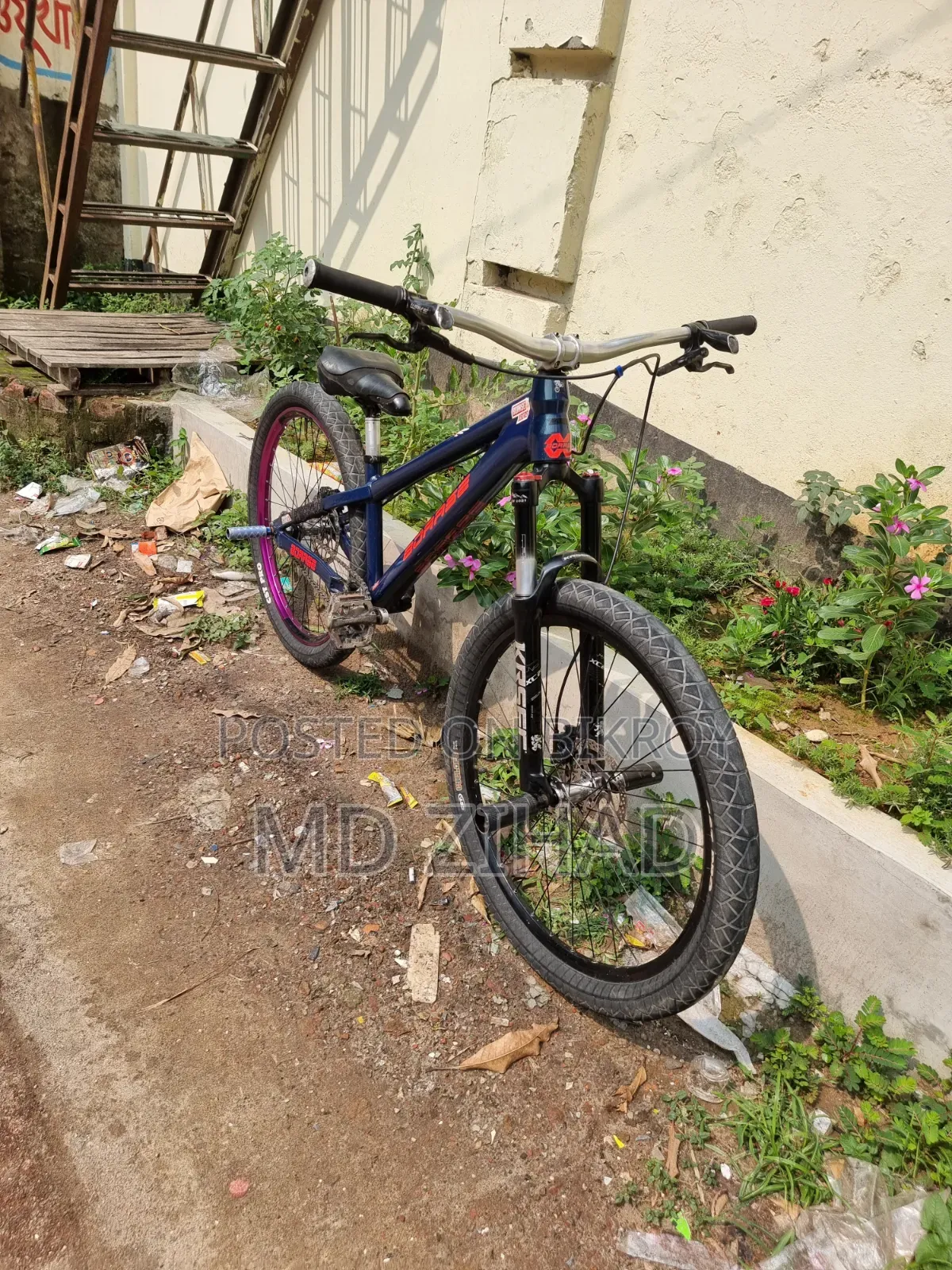 Borase San 6.1 Cycle