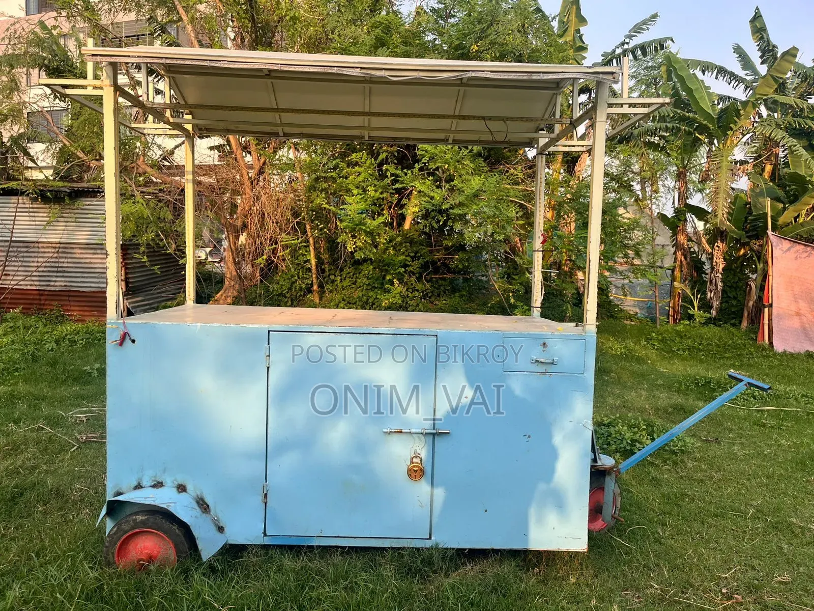 Mini Showroom Van / Food Cart