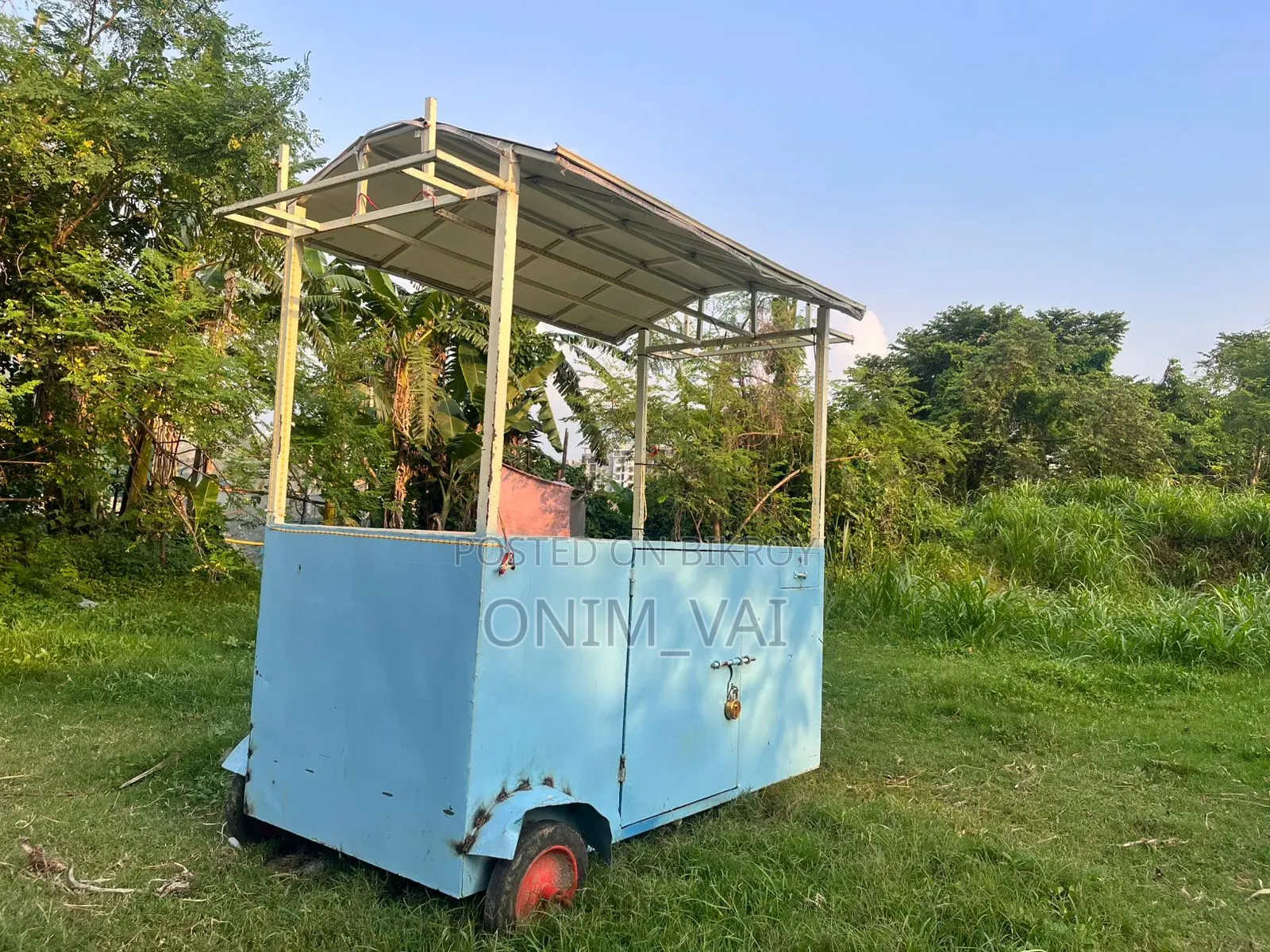Mini Showroom Van / Food Cart