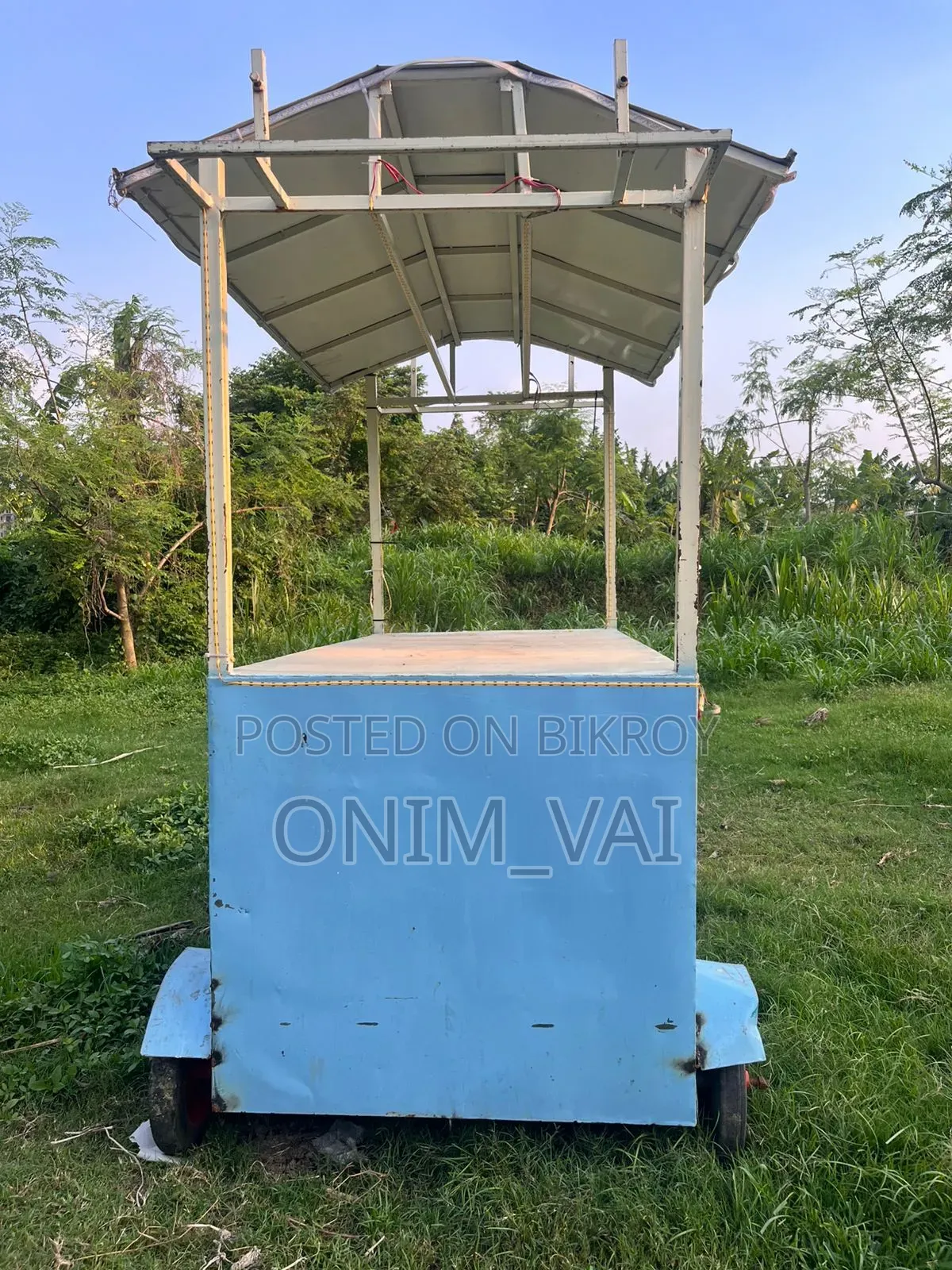 Mini Showroom Van / Food Cart