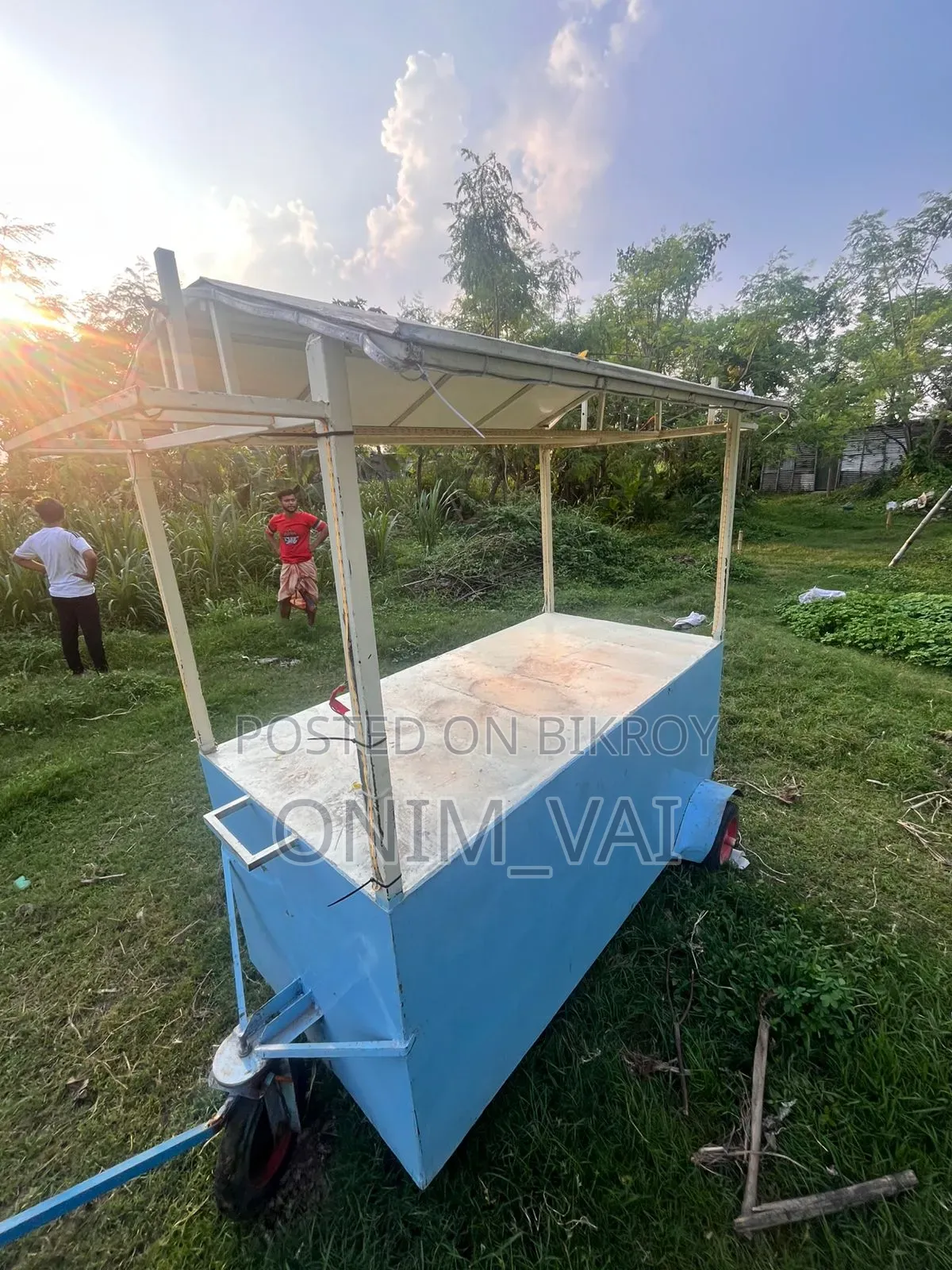 Mini Showroom Van / Food Cart