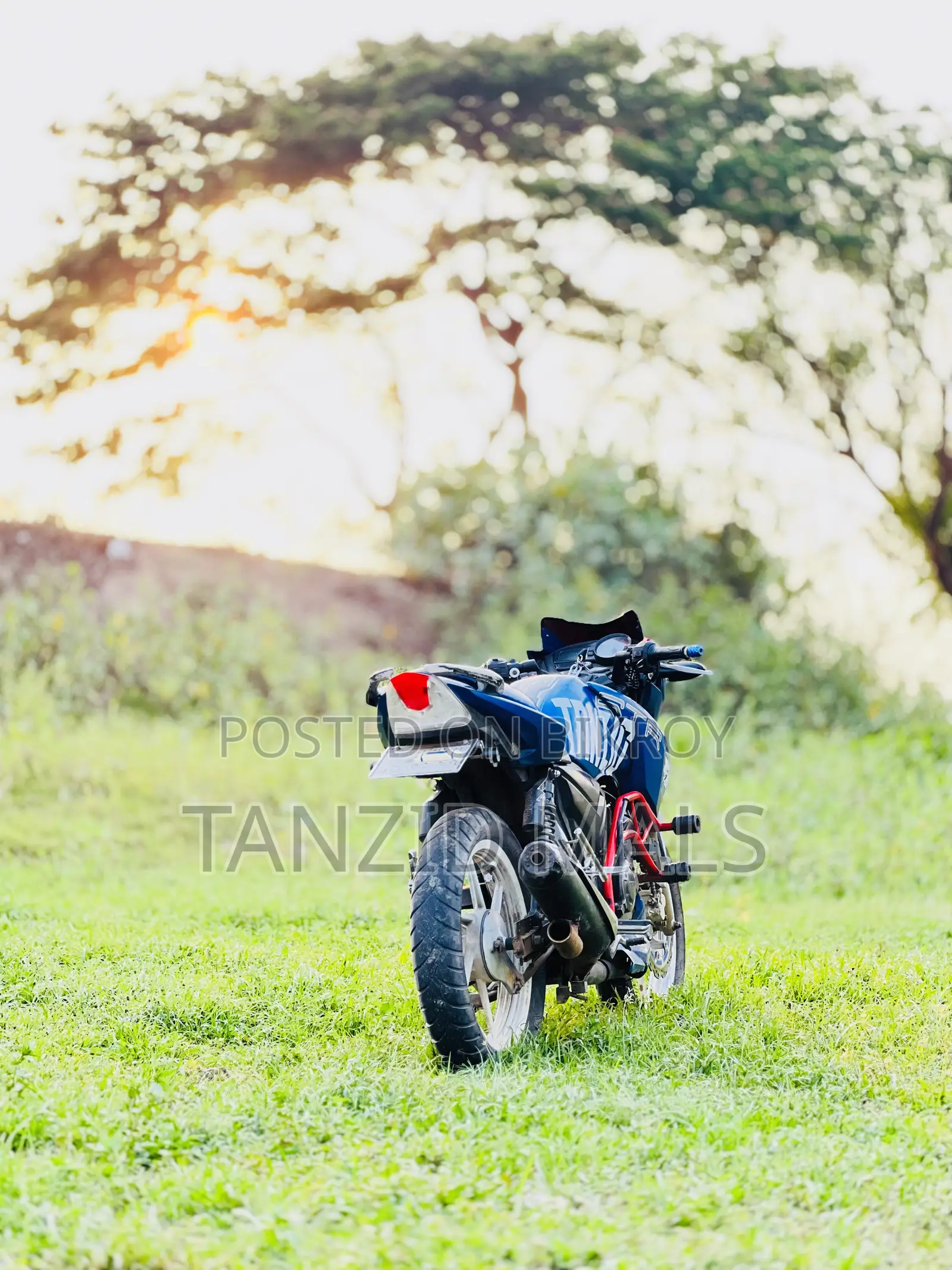 TVS Apache RTR 160 2V 2017 Blue