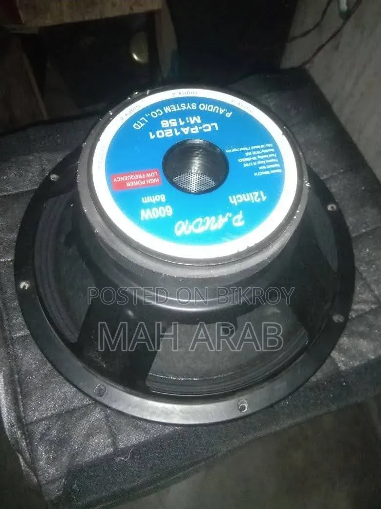 12 Inch Speaker for Sell