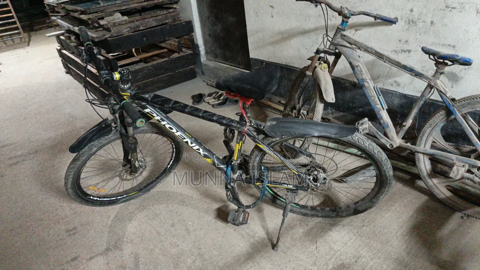Phonix Cycle
