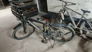 Phonix Cycle