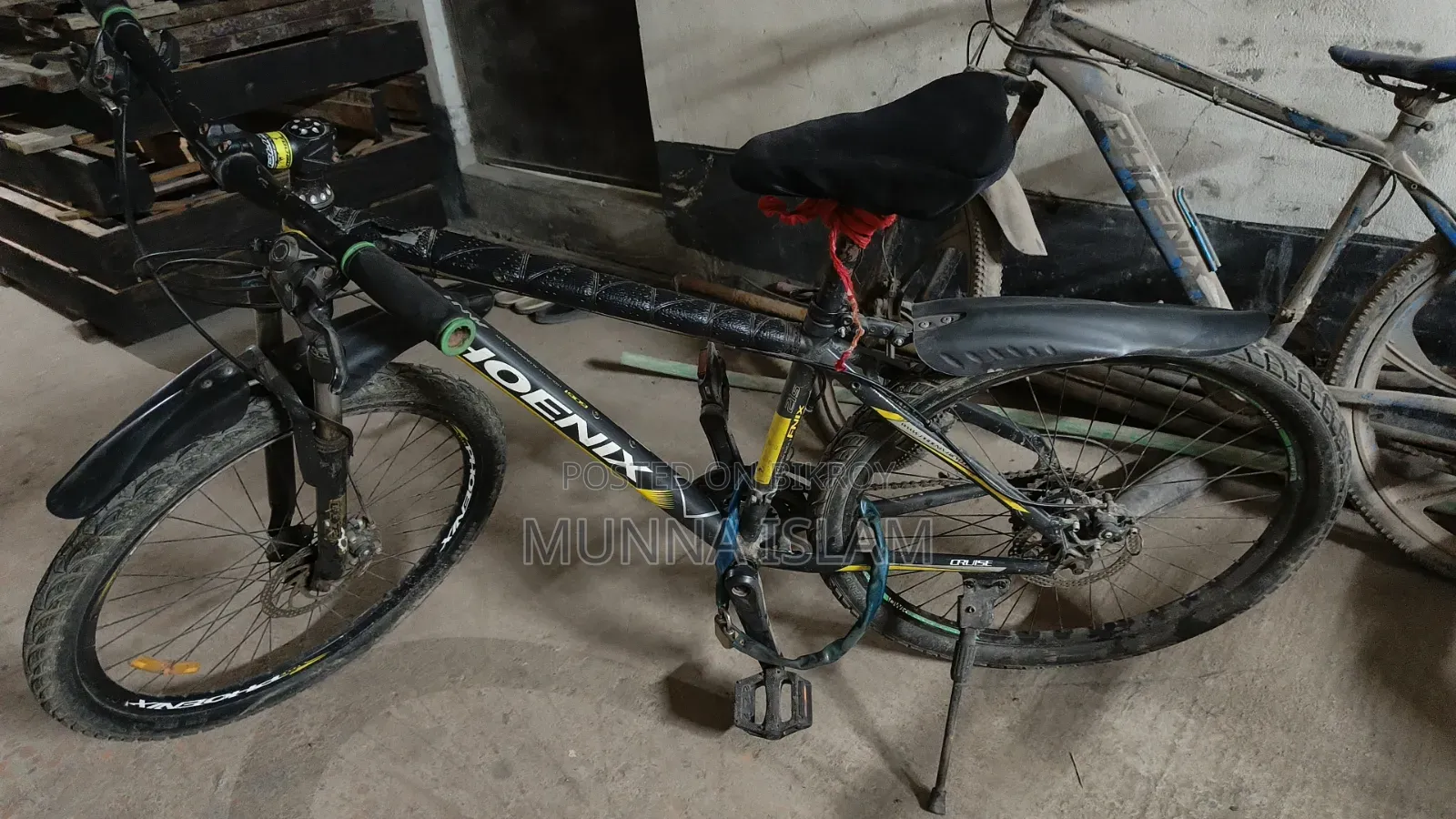 Phonix Cycle