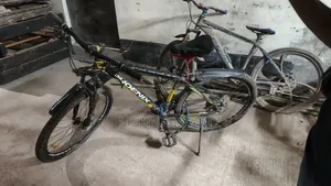 Phonix Cycle