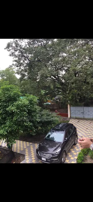 ধানমন্ডি জুন নাইনে ৩ বেডরুমের অ্যাপার্টমেন্ট বিক্রয়