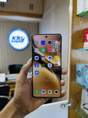 Vivo X200 Pro 512 GB Gray