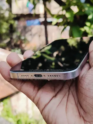 Apple iPhone 15 Pro Max 256 GB Gray