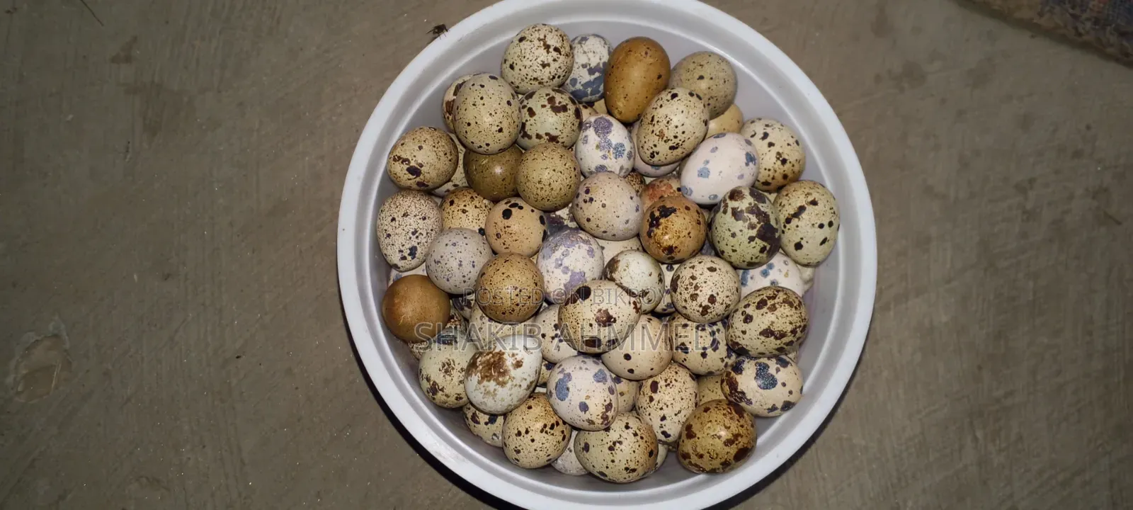 Quail Eggs